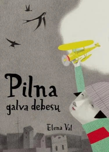 Pilna galva debesų (knyga)