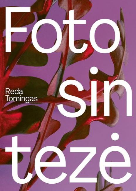 Fotosintezė (book)