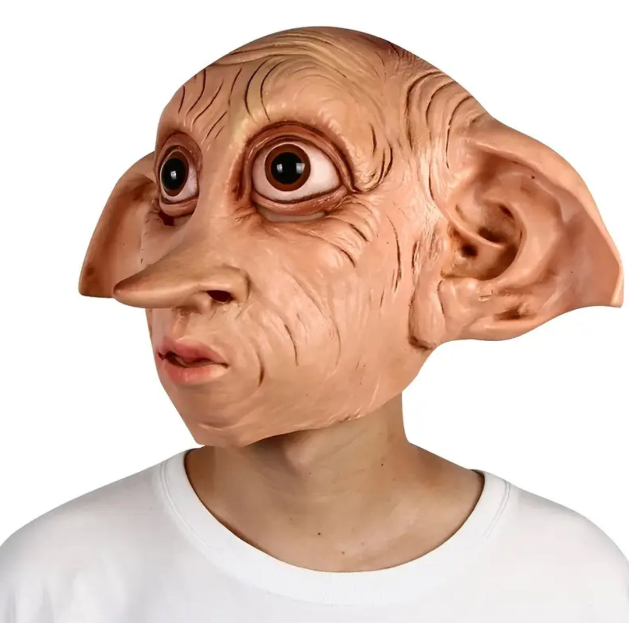 New Year Carnival 12/31