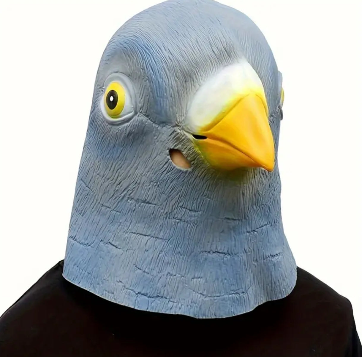 New Year Carnival 12/31