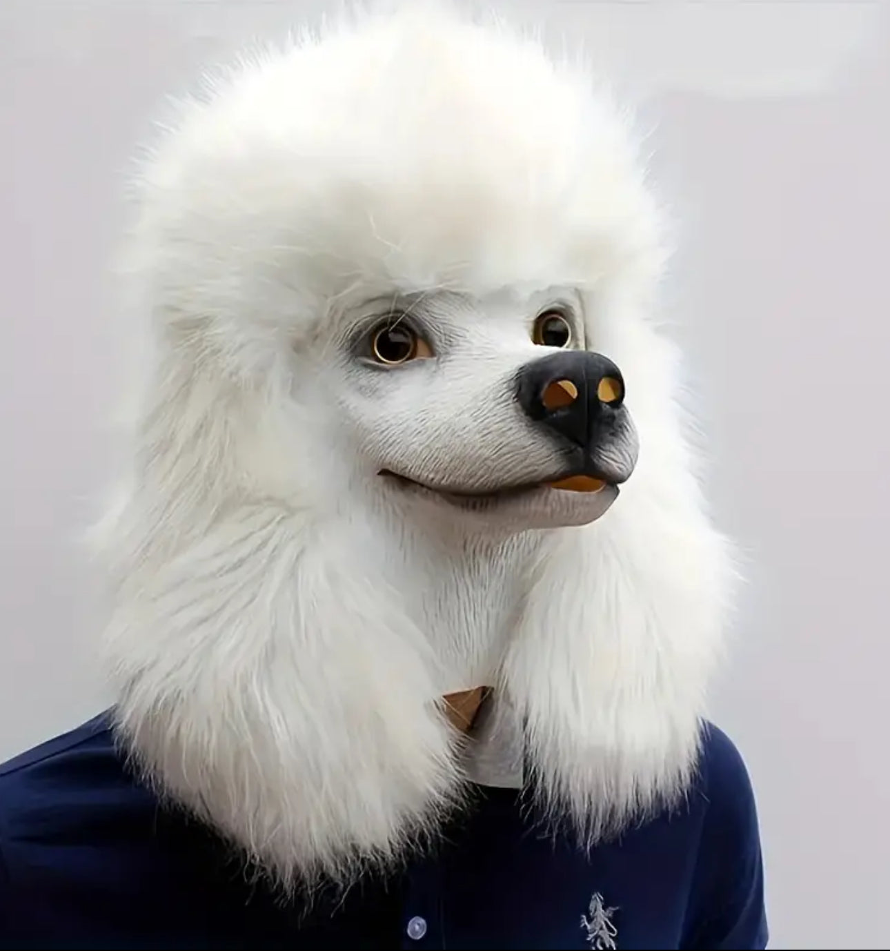 New Year Carnival 12/31